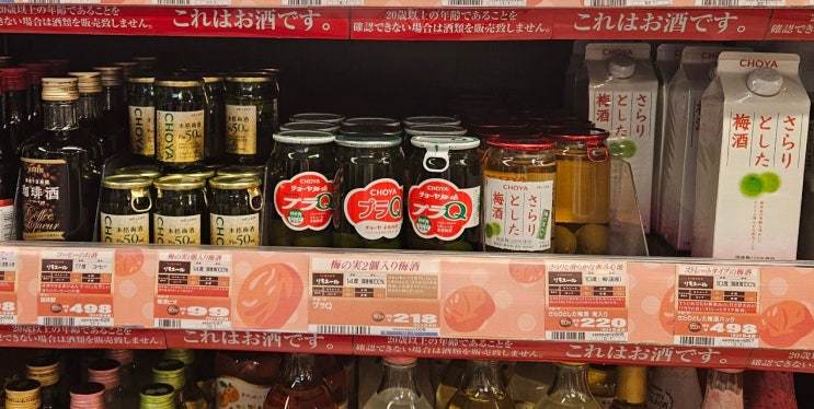  삿포로 메가돈키 다누키코지 본점, 숙소에 들어가서 먹을만한 술 추천