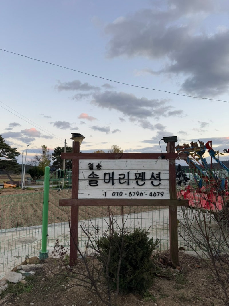 사진 5
