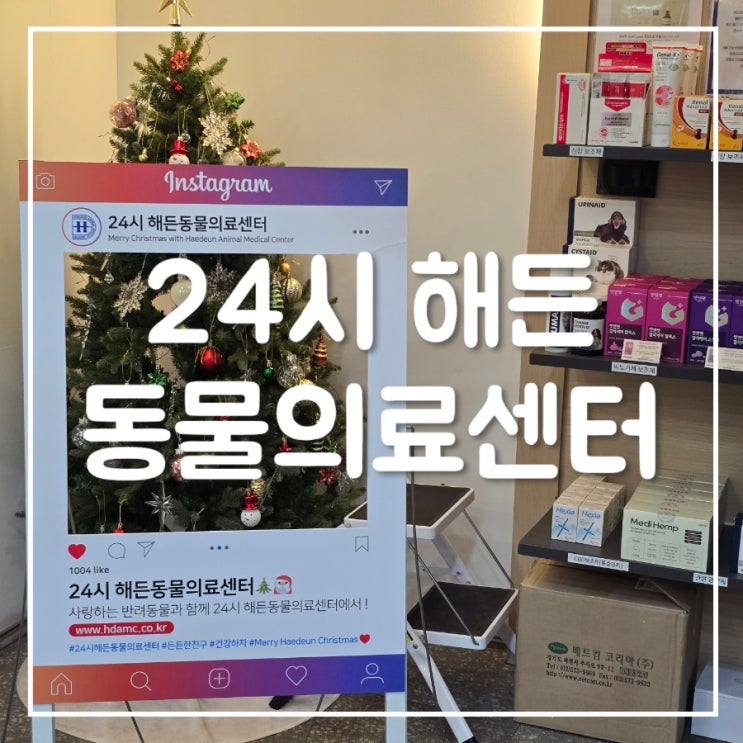  [양주 24시 해든동물의료센터]  강아지 항문낭염 진료 후기