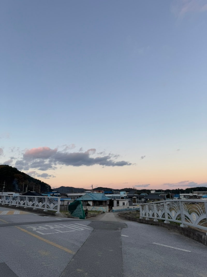 사진 7