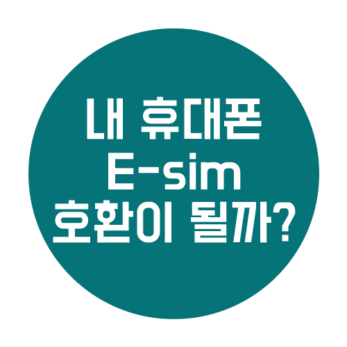  내 휴대폰이 eSIM을 지원하는지 확인하는 방법