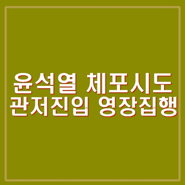 윤석열 체포<b>영장 집행</b> 관저 진입 체포시도 <b>공수처 경호처</b>... 