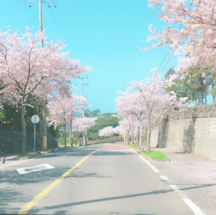  "제주도가볼만한곳 서귀포약천사 완벽가이드 (그랑블루요트 근처)"