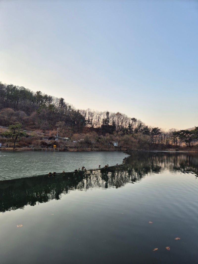 오승은 교수. 물리 및 분자생물학. 태평양에서 자맥질하는 아이. '새로운 것을 알아가는 과정....