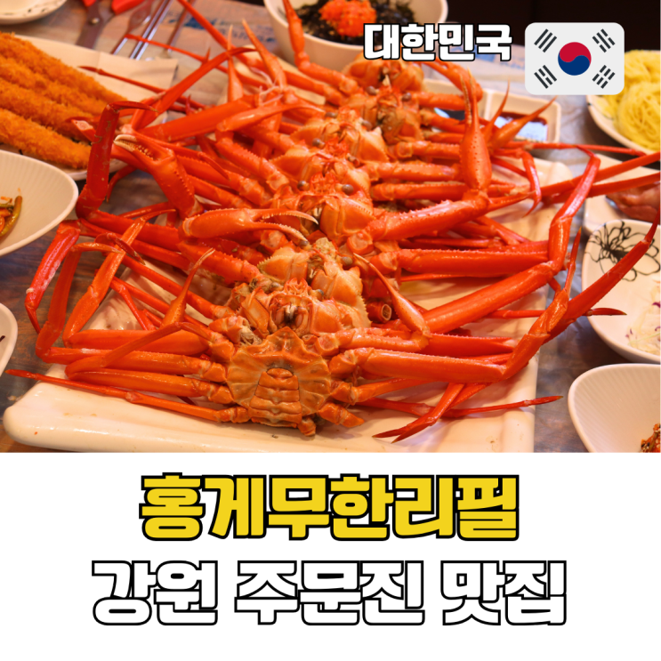  강원 주문진 가성비 맛집 주문진 홍게무한리필