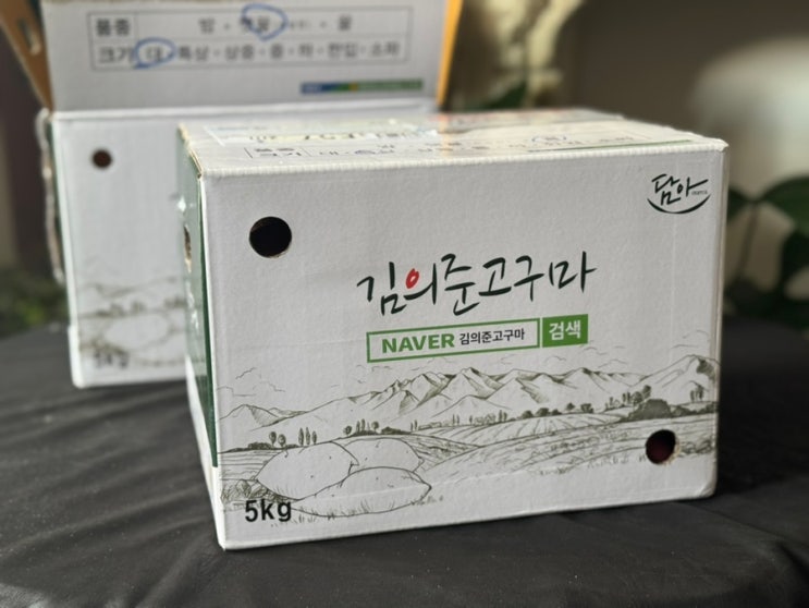 꿀고구마 5KG 에어프라이 군고구마 만들기 김의준고구마 꿀고구마 5KG 에어프라이 군고구마 만들기 김의준고구마