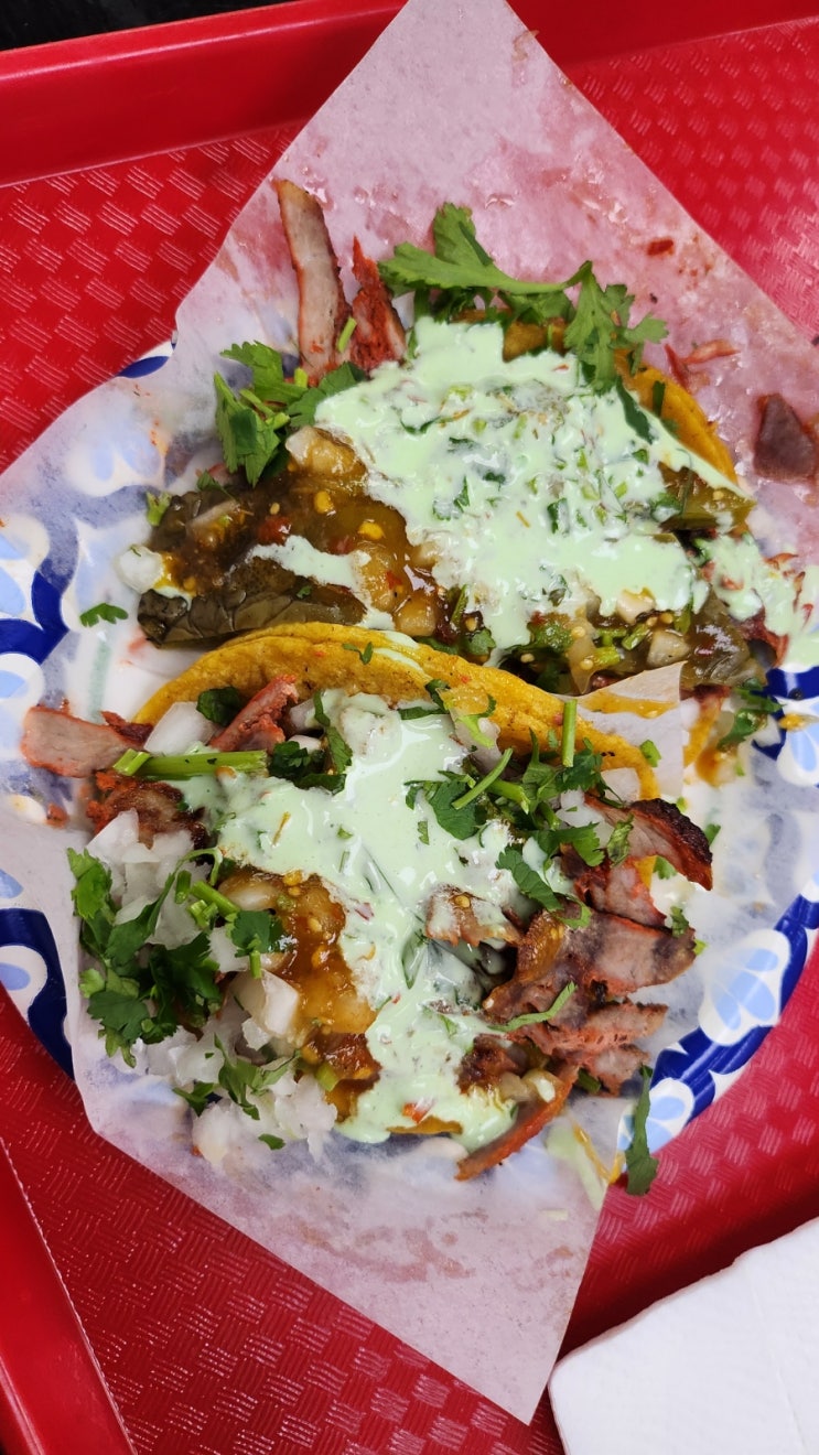  라스베가스 맛집 타코스 엘 고르도 후기 줄서는법 메뉴 설명 tacos el gordo