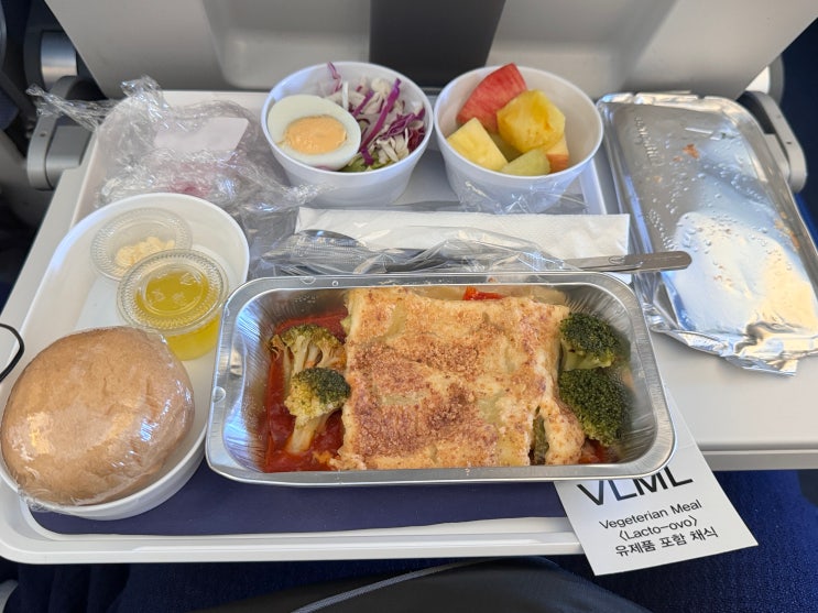 인천공항 루프트한자 체크인 좌석 기내식 후기 인천공항 루프트한자 체크인 좌석 기내식 후기