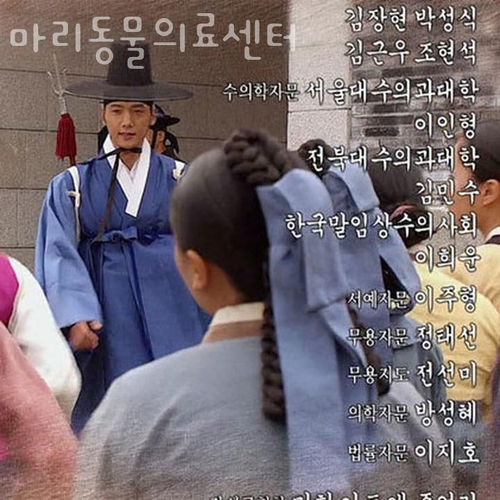 마리동물의료센터 사진 4