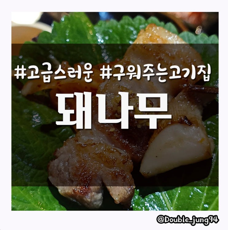  부산 서면 고기집 고급스러운 돼지고기 맛집 돼나무 서면점
