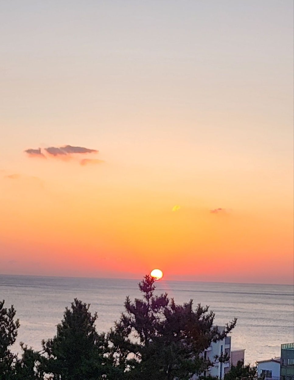 일출봉횟집 사진 5