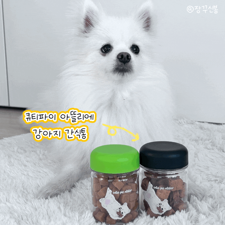 귀여운 강아지 간식통은 바로 여기 큐티파이 아뜰리에 귀여운 강아지 간식통은 바로 여기 큐티파이 아뜰리에