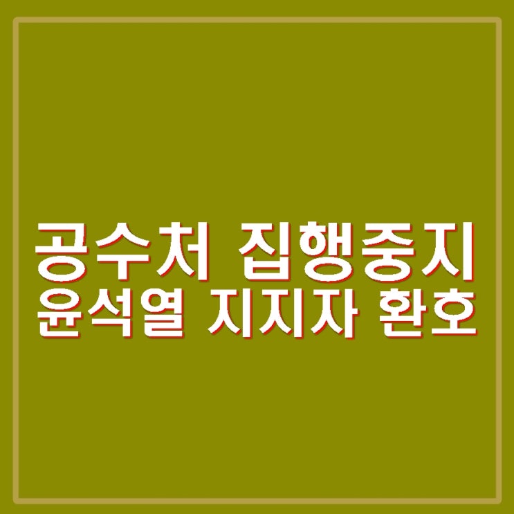 <b>공수처</b> 철수 체포영장 집행 중지 향후 조치 등 수색일정은?... 