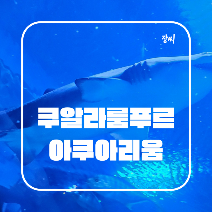  말레이시아 쿠알라룸푸르 가볼만한곳 아쿠아리움 아쿠아리아 klcc 추천