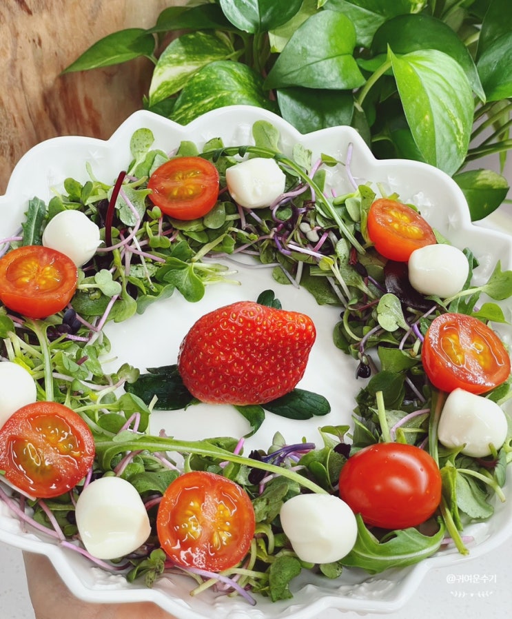  보코치니 방울토마토 치즈샐러드 만들기 리스샐러드 간단 소스 생모짜렐라치즈 레시피