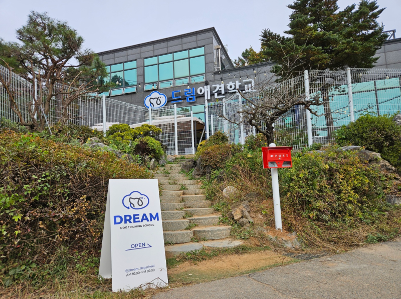 사진 2