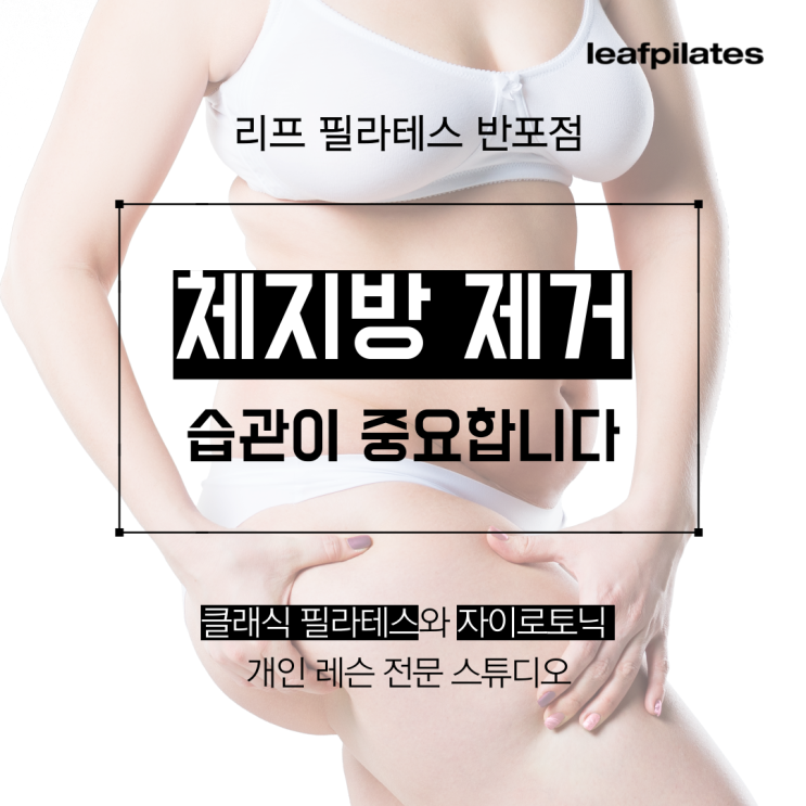  [고속터미널역 필라테스] 체지방 빼려면 습관 교정이 중요합니다 / 반포필라테스 리프
