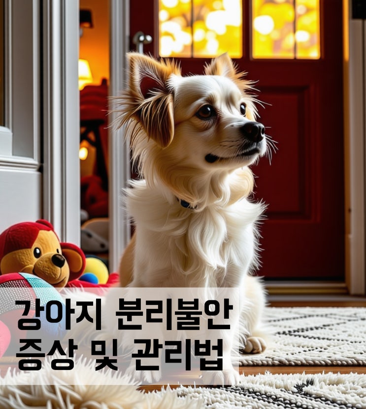  강아지 분리불안 증상 및 관리방법