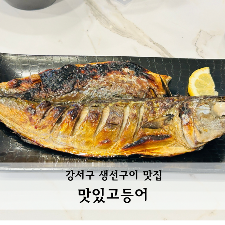  화곡역 밥집 맛있고등어 강서구생선구이 맛집 식사후기