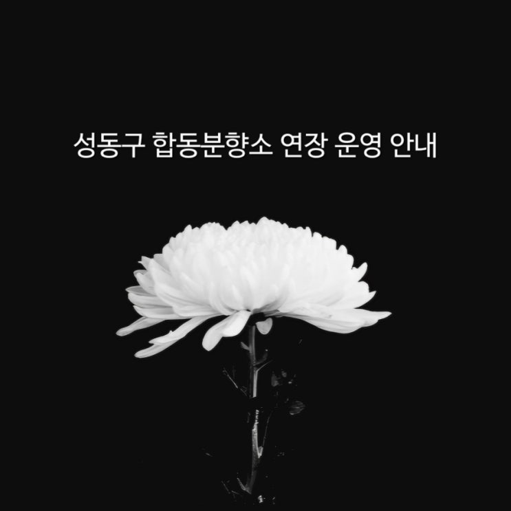 제주항공 여객기 참사 성동구 <b>합동분향소 연장 운영</b> 안내