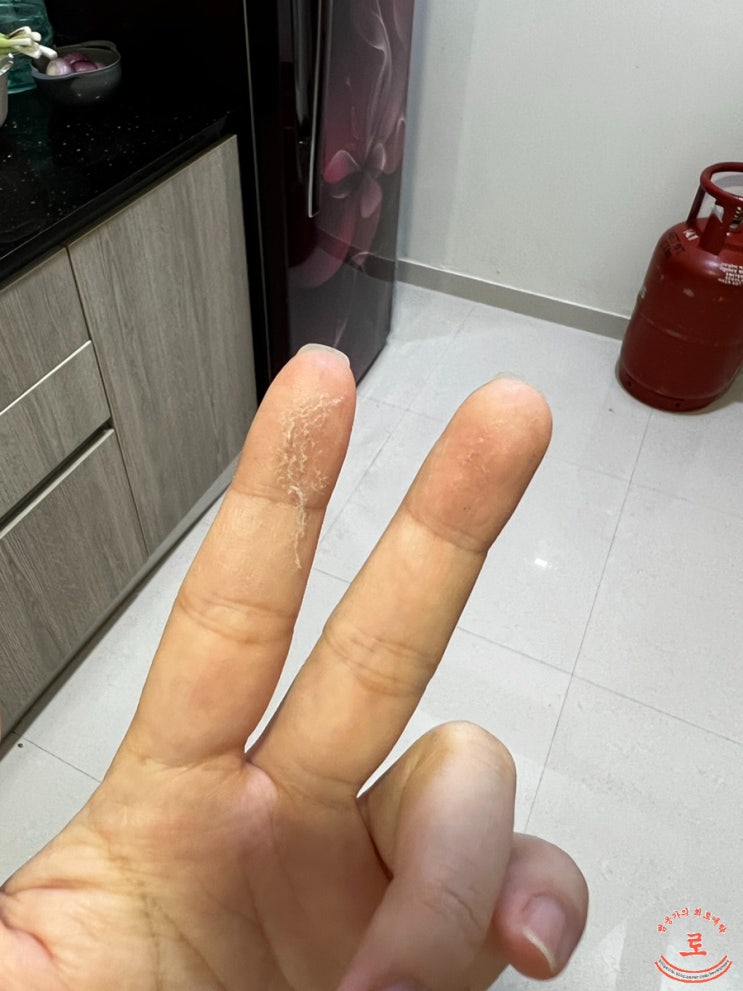  [우당탕탕 인도] 나의 메이드 이야기, 악어의 눈물에 한 번은 속아줘 본다
