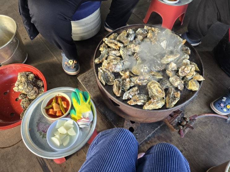  겨울 맛집은 장흥 경화네 굴구이