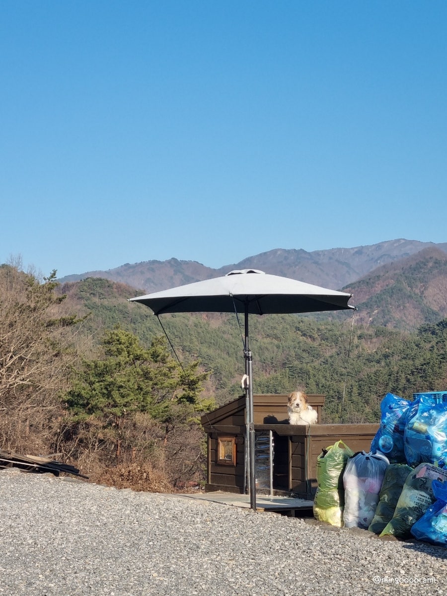 사인암황토마을펜션 사진 3