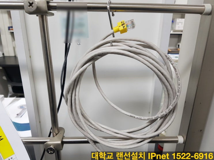 대학교 사무실 강의실 AP기기와 다회선 랜선설치 내구성 좋은 시공