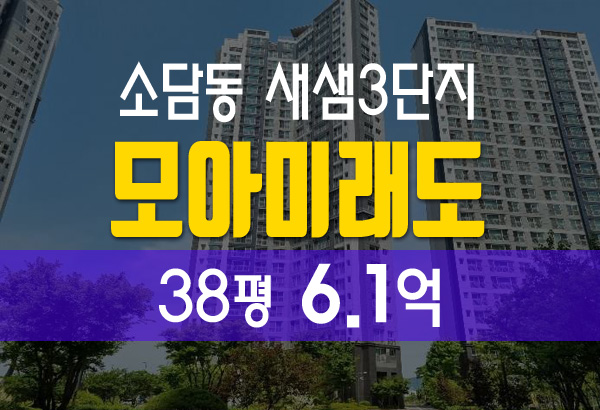  세종시 소담동 새샘3단지 모아미래도 38평 법원 경매