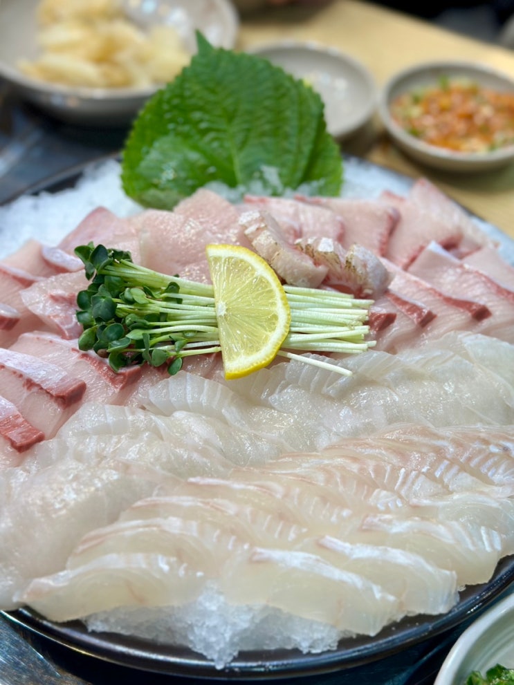  [중앙역] 윤선장어시장_안산 대표 대방어 맛집! 내돈내산 솔직 후기 (강추)