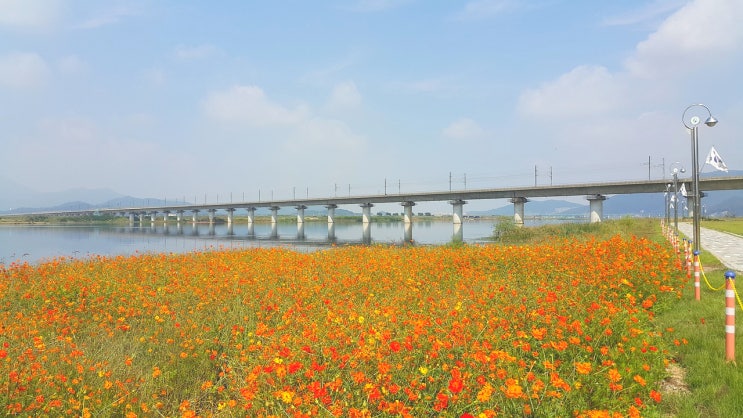  설날 기차표 ktx 예매방법 사전예매 취소표 꿀팁