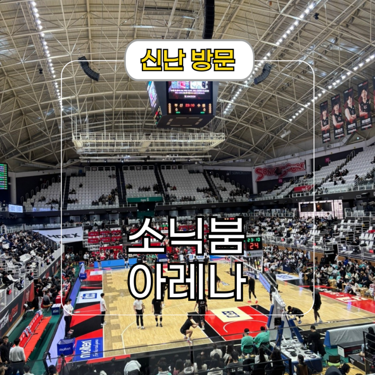  수원 KT 소닉붐 아레나 2층 특석 C게이트 및 주차 팁