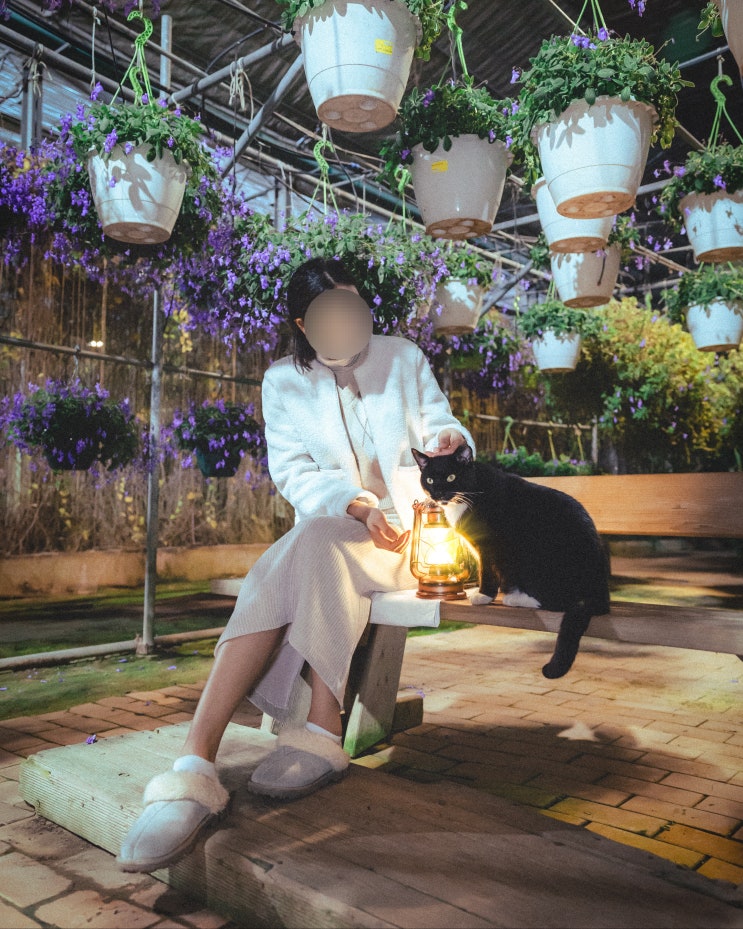  [천안 아산 가볼 만한 곳] 세계 꽃 식물원이면서 고양이 천국