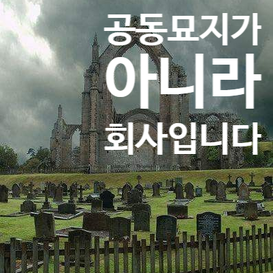  [250102] 드물게 차분해진 갱수기