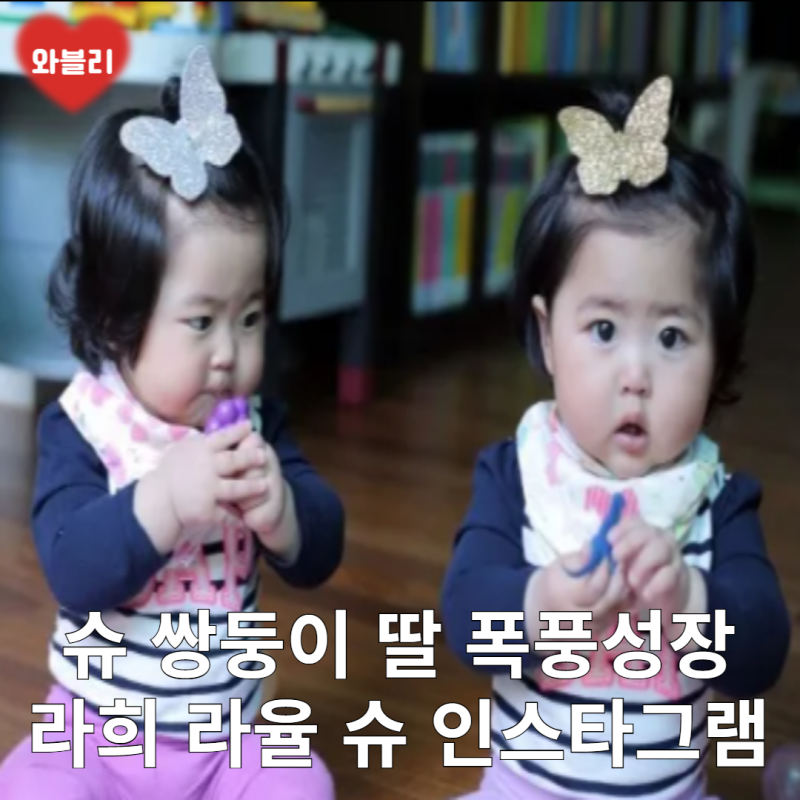 슈 쌍둥이딸 폭풍성장 라희라율 슈 인스타그램