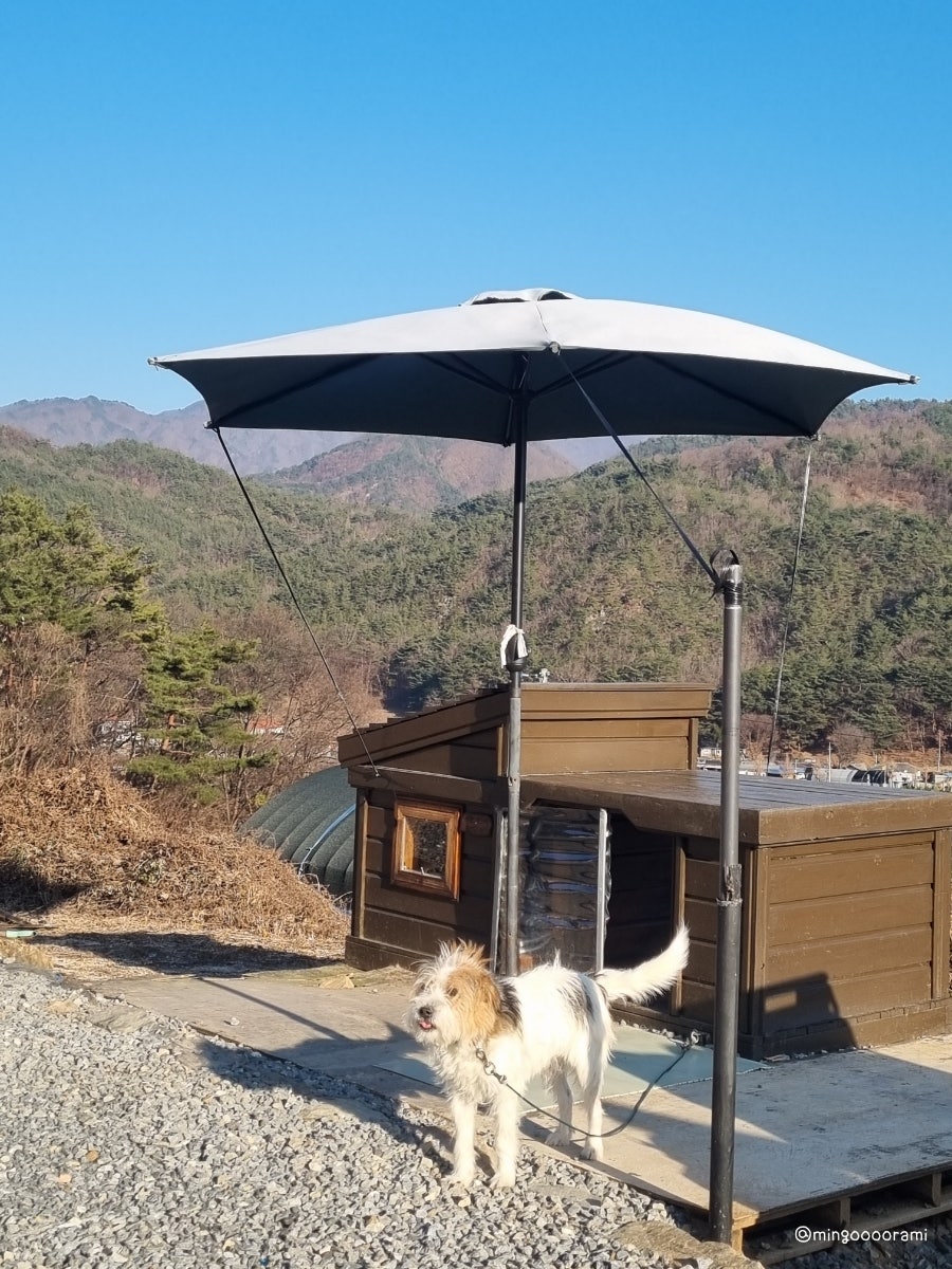 사인암황토마을펜션 사진 4