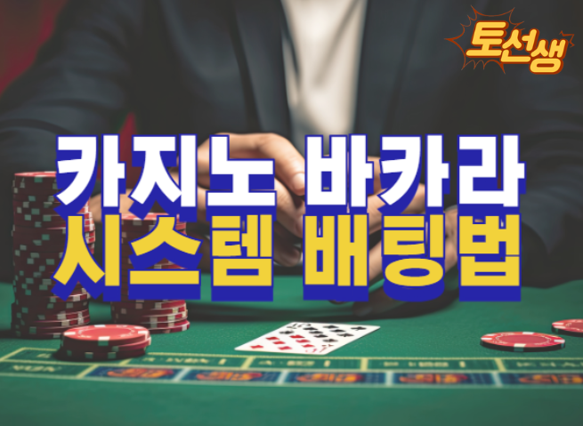  바카라 시스템 배팅 전략들