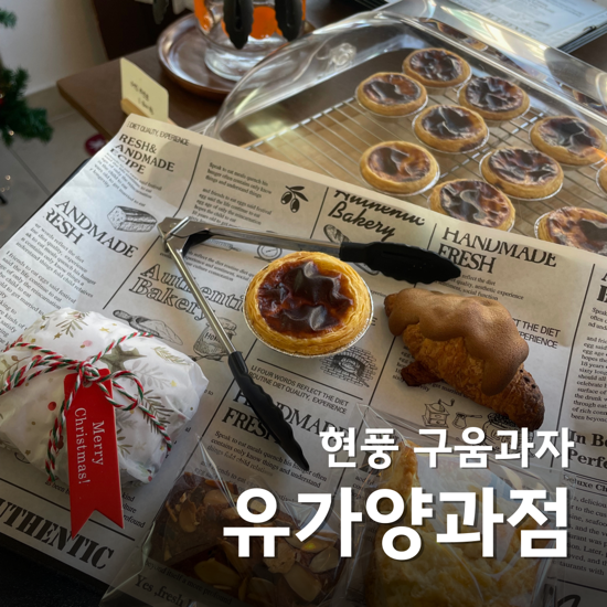  대구 디저트 선물은 유가양과점 휘낭시에 타르트가 맛있는 예쁜 현풍 카페