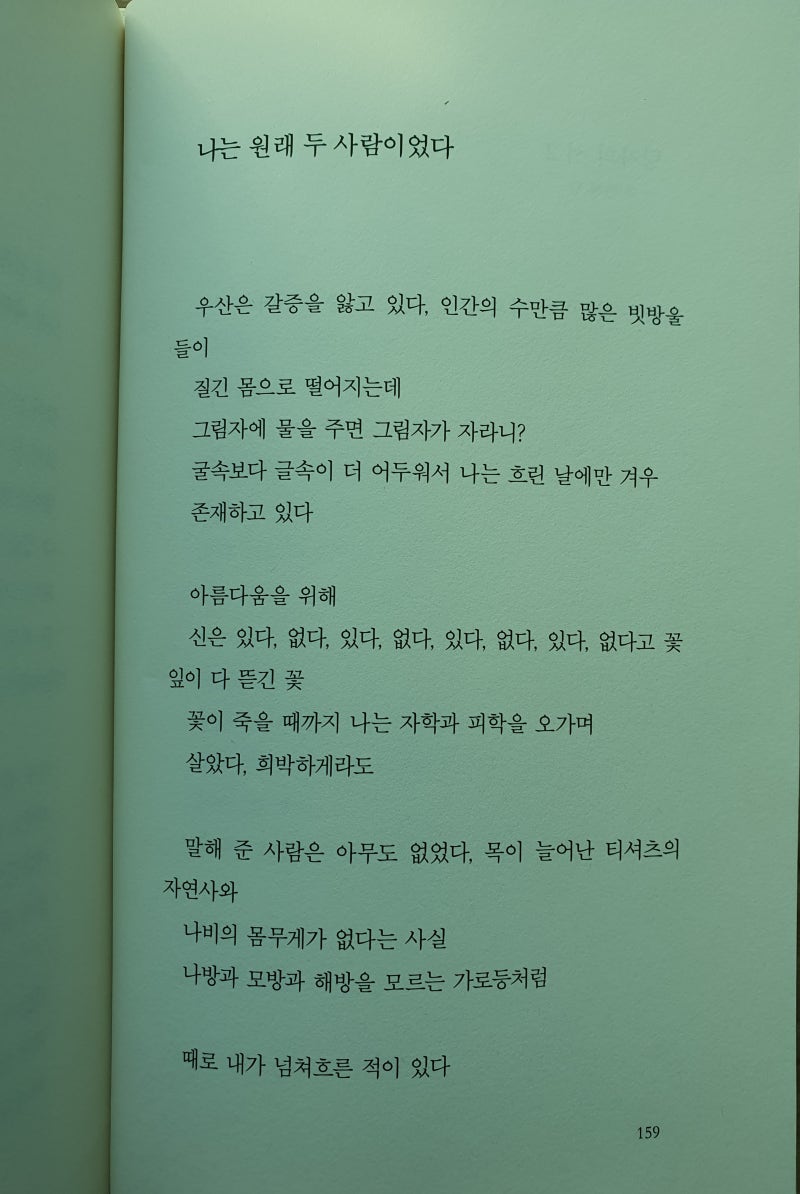 김준현 시인