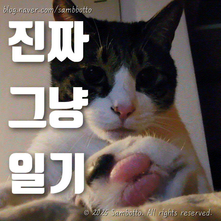  진짜 그냥 일기 | 세븐일레븐에서 제일 좋아하는 간식, 오하요 쟈지푸딩 드디어 겟, 일산 맛있는왕소금구이, 예쁜 손톱달, 셰프장 연어&새우장
