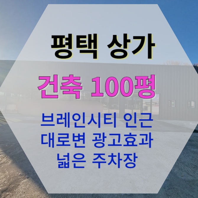  [100평 평택 이충동] 브레인시티 인근 302 대로변 상가