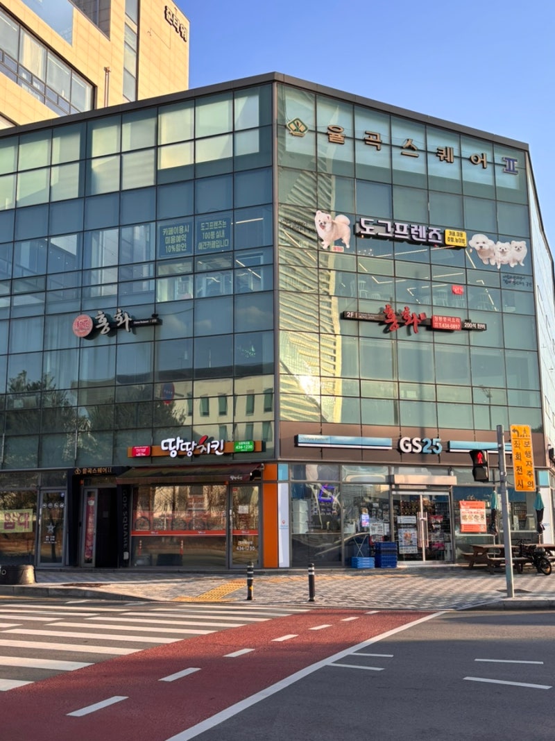 사진 5