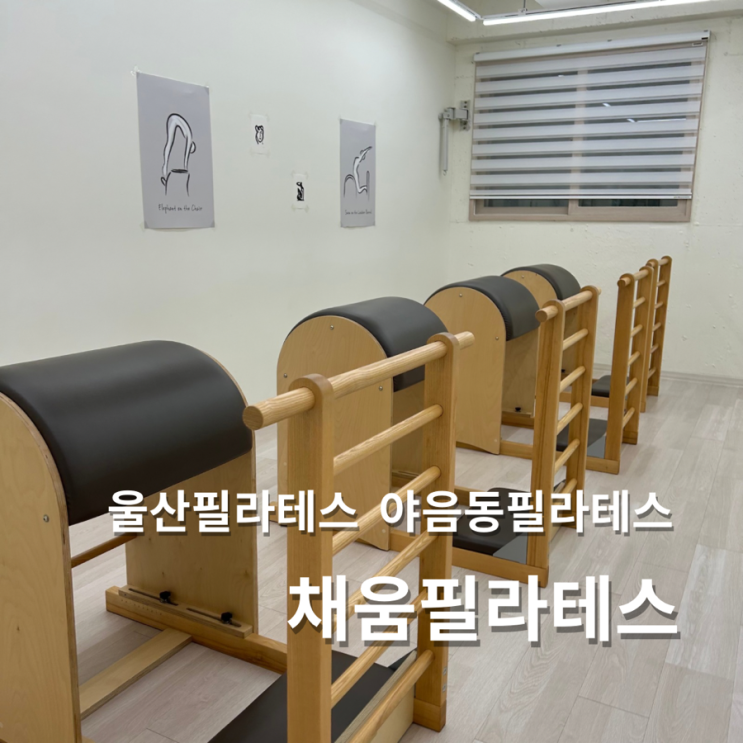  울산 야음동 필라테스 채움필라테스 내돈내산 후기