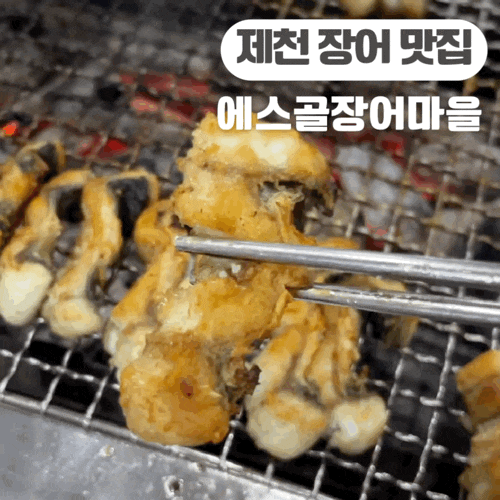  제천 장어 맛집 에스골장어마을 현지인이 추천하는 맛집!