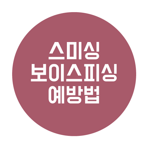  스미싱&보이스피싱 사례와 예방법 총정리