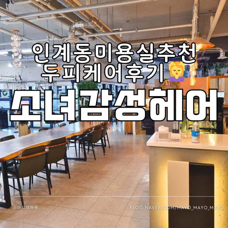  수원 인계동미용실 소녀감성헤어 두피케어 수원시청역 헤어샵 추천