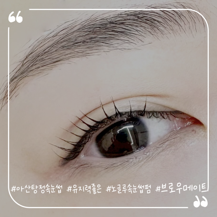  아산탕정속눈썹펌추천 유지력좋은 브로우메이트