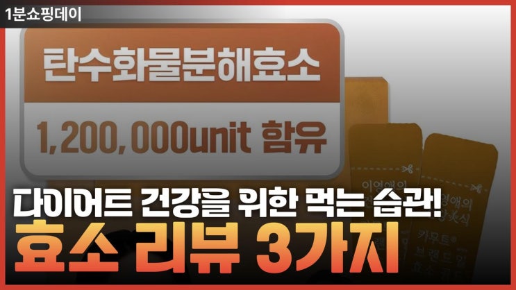  다이어트의 기초 ! 소화의 기초 ! 효소추천