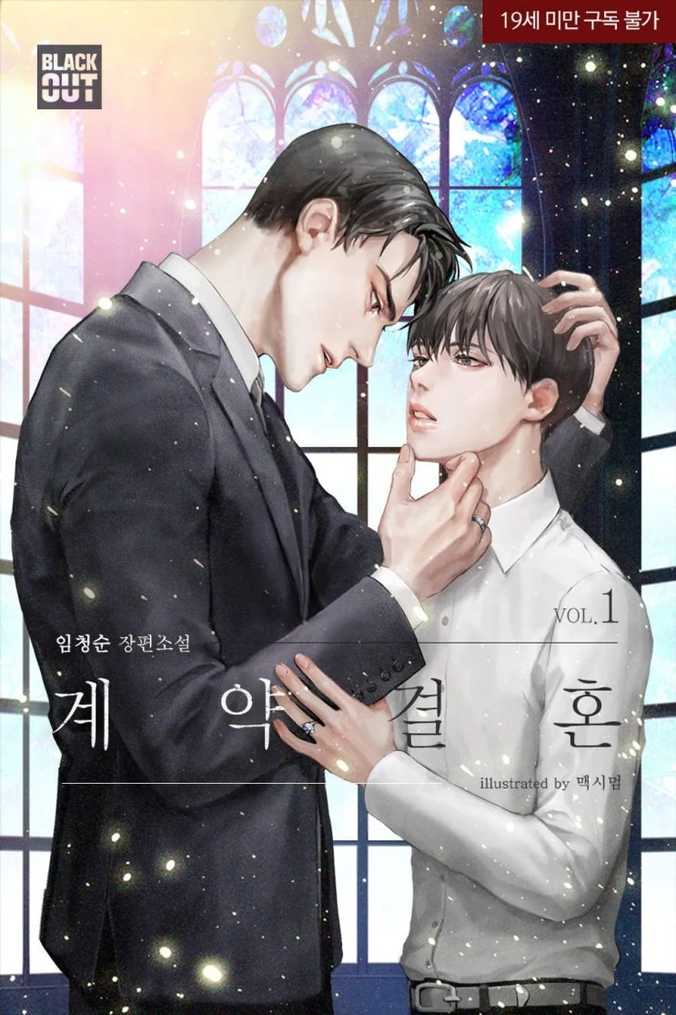 BL소설 리뷰) 임청순-계약결혼 BL소설 리뷰) 임청순-계약결혼
