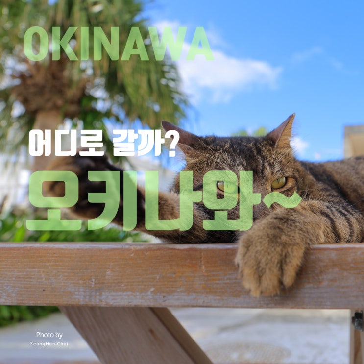  오키나와 여행 얼렁뚱땅 가이드: 역사, 문화, 지리로 알아보는 일본의 열대 낙원